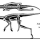 Illustration for article titled Pterodactyls Are Not Dinosaurs. So What The Hell Are They?